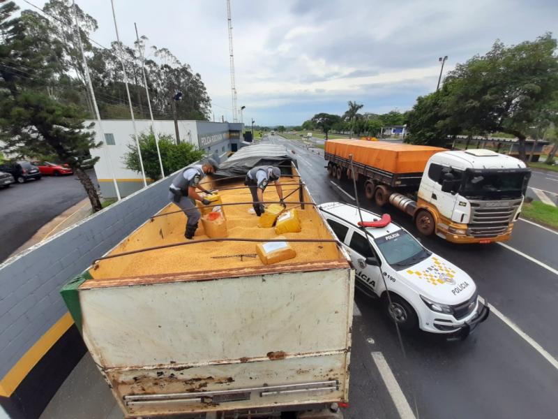 Apreensão foi feita no km 570 da Rodovia Raposo Tavares (SP-270), em Presidente Prudente