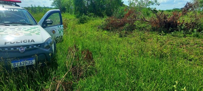 Policias fizeram contato com o proprietário e averiguou-se que o homem realizou o corte de oito árvores nativas isoladas da espécie Leiteiro Branco