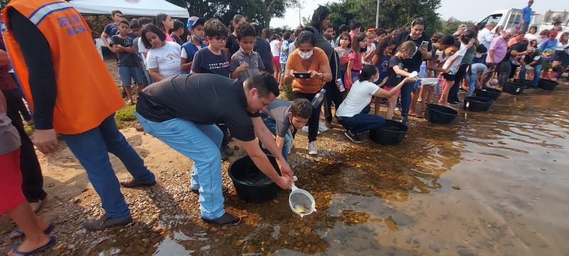 Alunos de duas escolas de Rosana participaram da soltura dos peixes no Rio Paranapanema