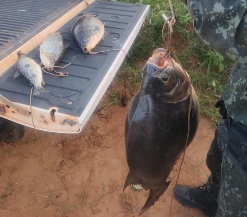 Pescado apreendido foi doado para Casa dos Velhos de Dracena