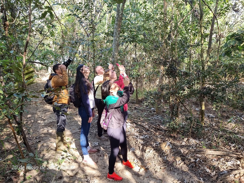 “Birdwatching”: vivência traz orientações gerais sobre as técnicas de observação de aves