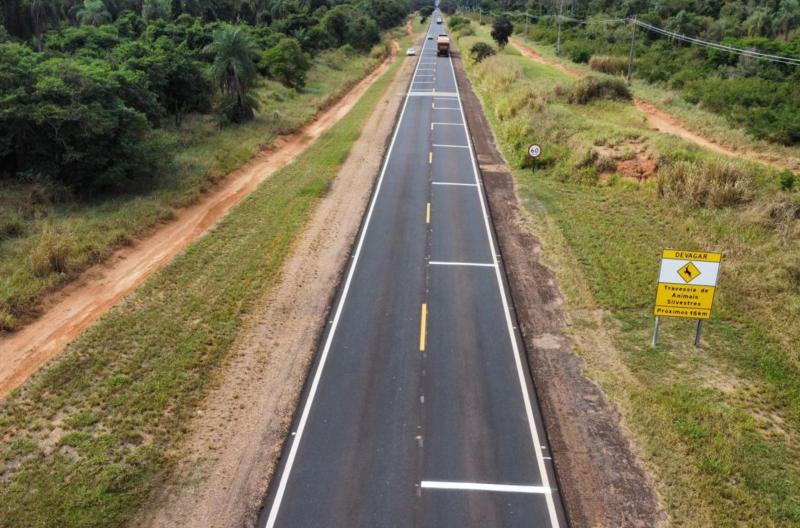 Para proteger fauna, DER ampliou sinalização horizontal em trechos da Rodovia Arlindo Bettio