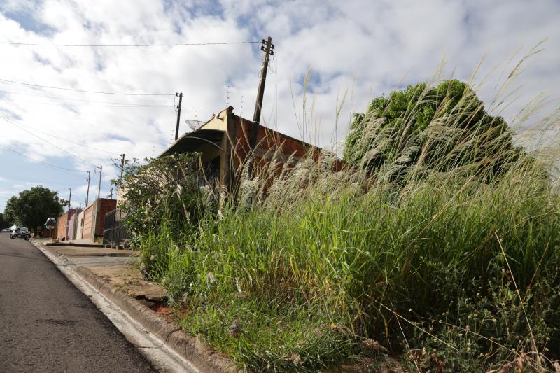 Todo terreno que não possui edificação é considerado terreno baldio