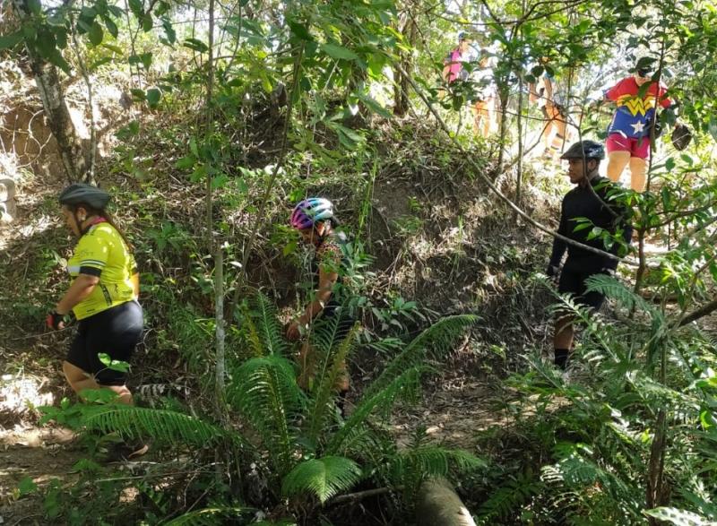 Caminhada apresentará as nascentes do sítio e temas relacionados à preservação da natureza