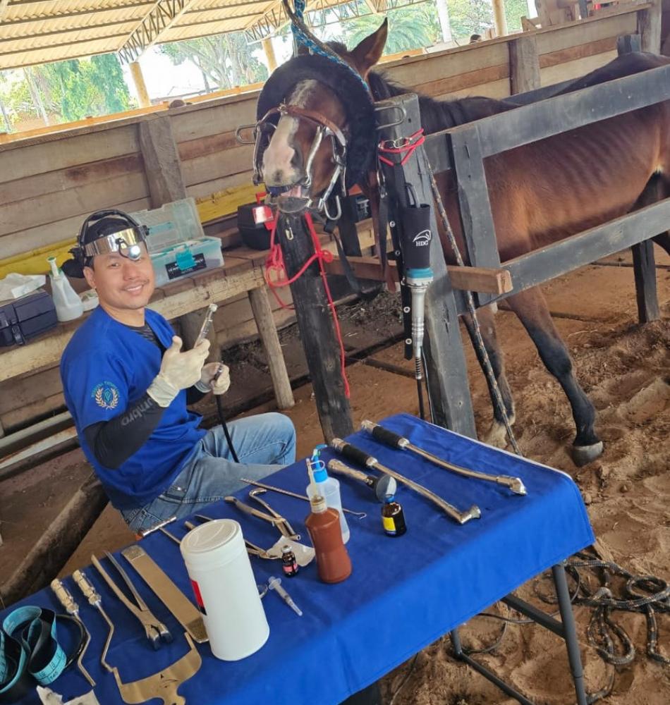 Médico veterinário Diego Hideki, especialista em odontologia equina