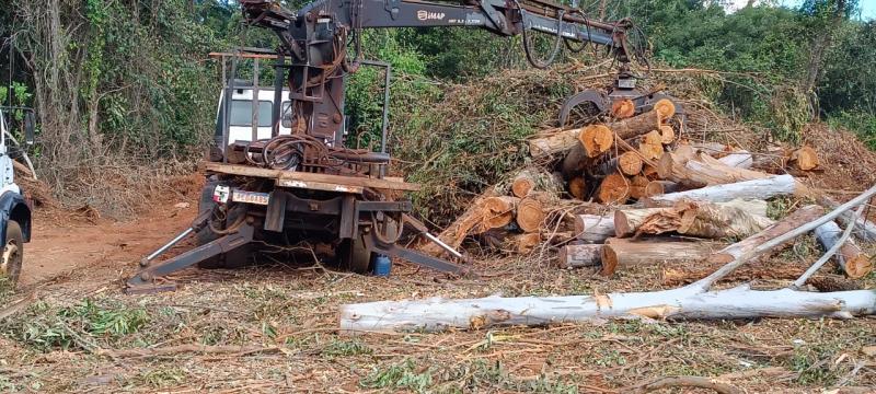 Vistoria constatou desmatamento de vegetação nativa em área de reserva legal