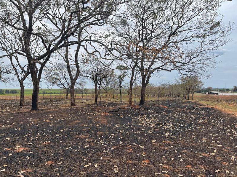 Oficiais constaram três pontos de focos de incêndio, nos quais o fogo consumiu 202,50 hectares