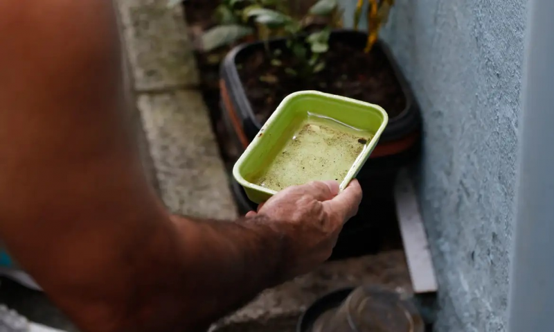 Prudente está em situação de alerta para proliferação do Aedes aegypti