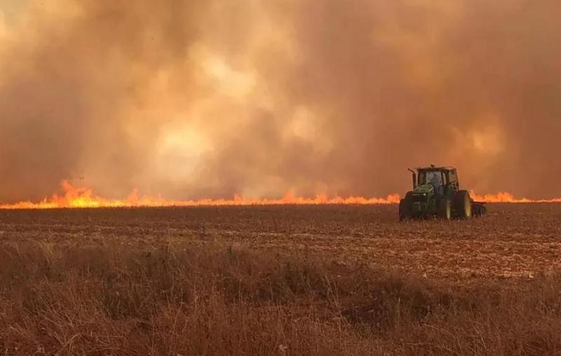 Ocorrências de fogo em vegetação mobilizaram Defesa Civil e Corpo de Bombeiro nos últimos dias