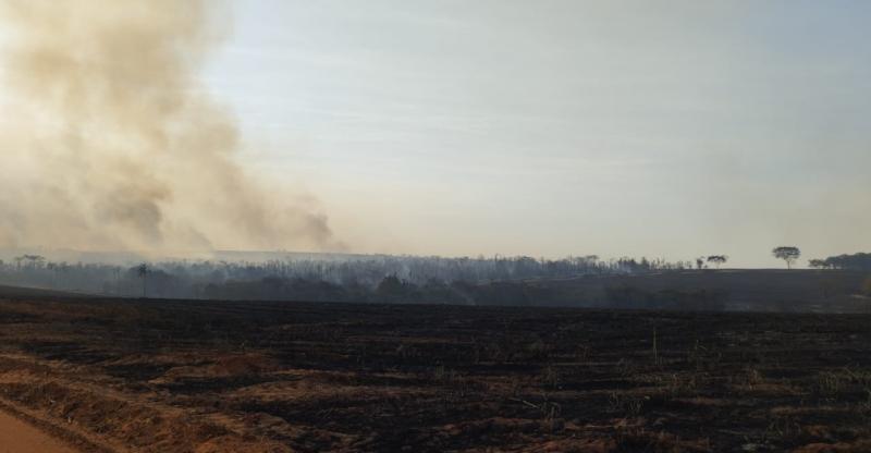 Em Salmourão, incêndio ocorrido na última sexta devastou vasta área da zona rural, atingindo cerca de 6 mil ha, o equivalente a 6 mil campos de futebol