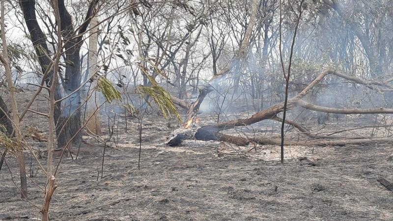 Novos incêndios florestais podem atingir todo território paulista nesta sexta-feira e sábado