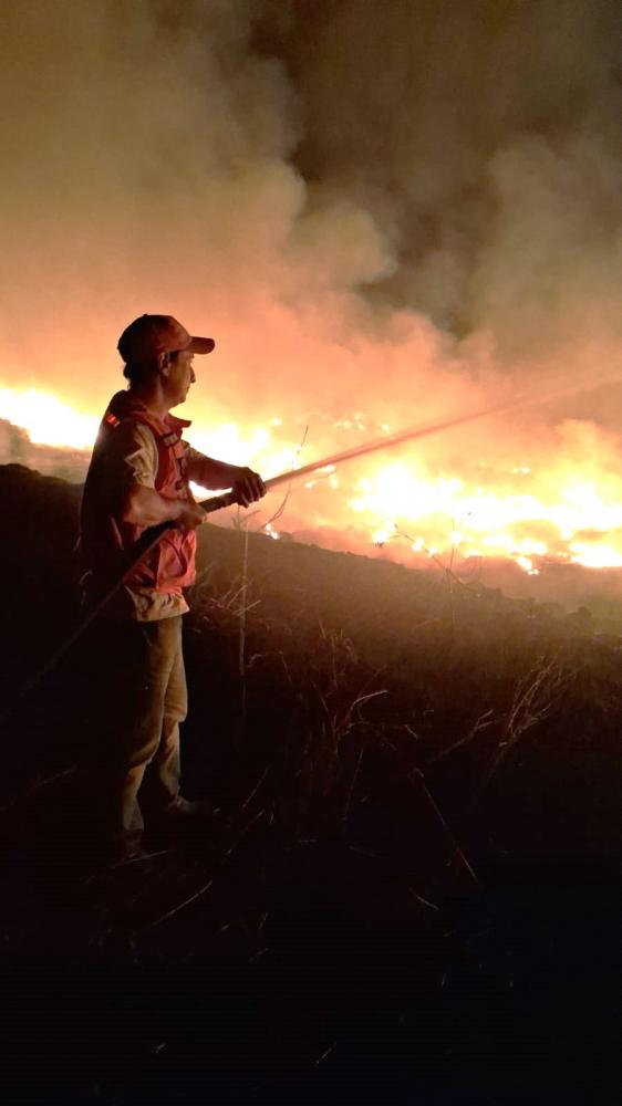 Após mais de 14 horas, guarnições seguiam nesta quarta combatendo incêndio na “Mata do Furquim