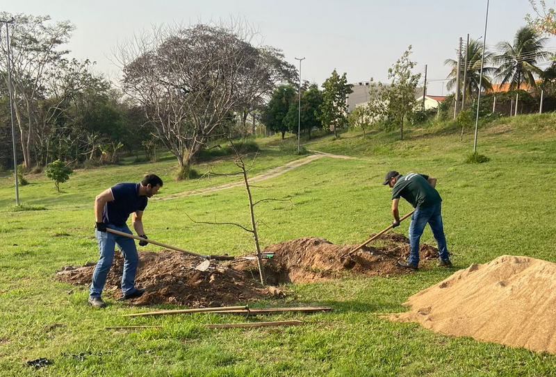 Muda de baobá foi plantada nesta sexta no Parque Ecológico Nelson Bugalho