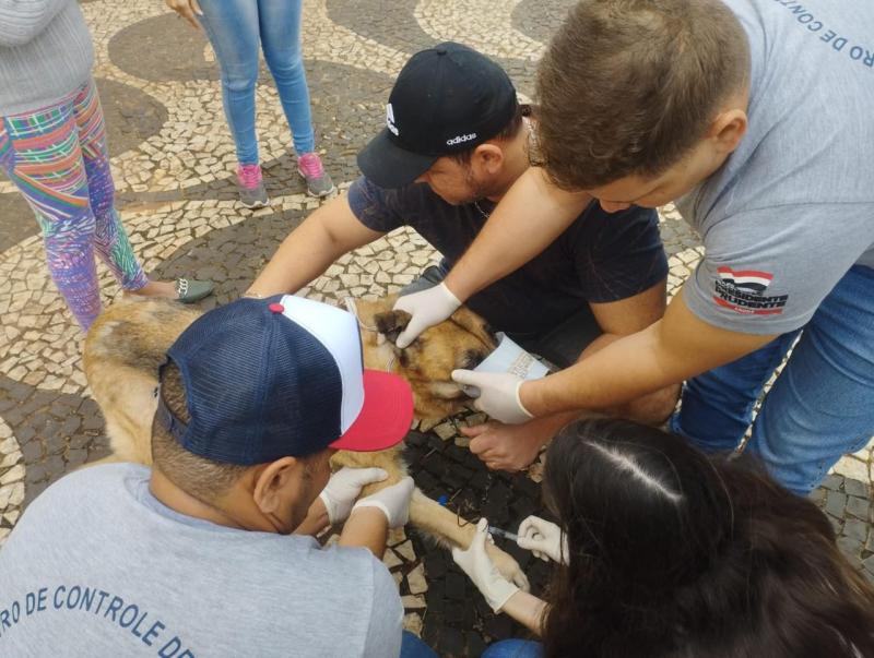 Atendimentos ocorrem nesta sexta, no Vida Nova Pacaembu 2