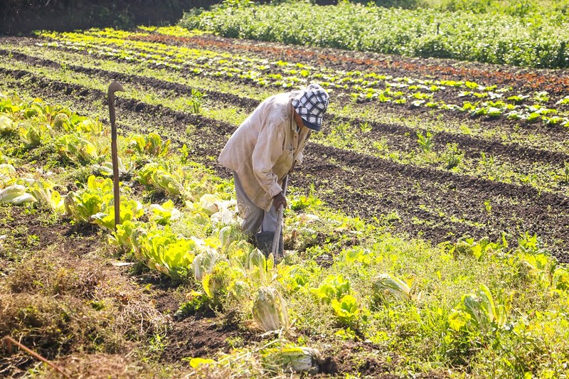 Evento discute CAR, que visa regularidade ambiental do imóvel rural