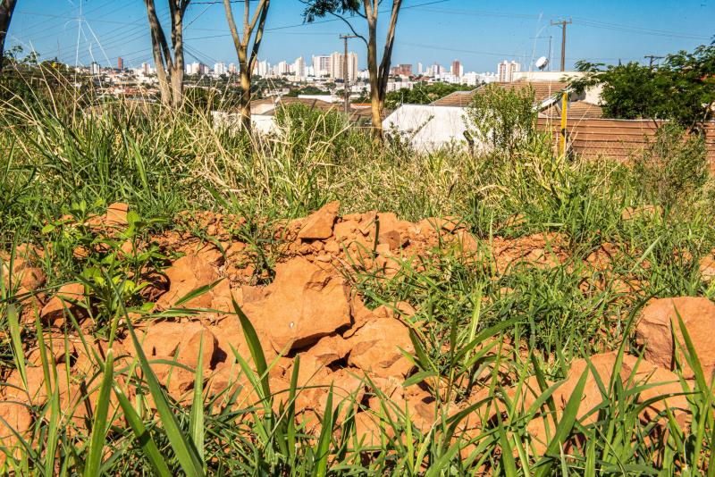 Localizado no Parque dos Girassóis, Sítio Paleontológico “José Martin Suárez” foi tombado pela Prefeitura de Prudente em 2019 