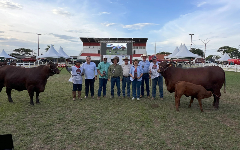 Touro MR Atalla, da Fazenda Malagueta, foi consagrado grande campeão