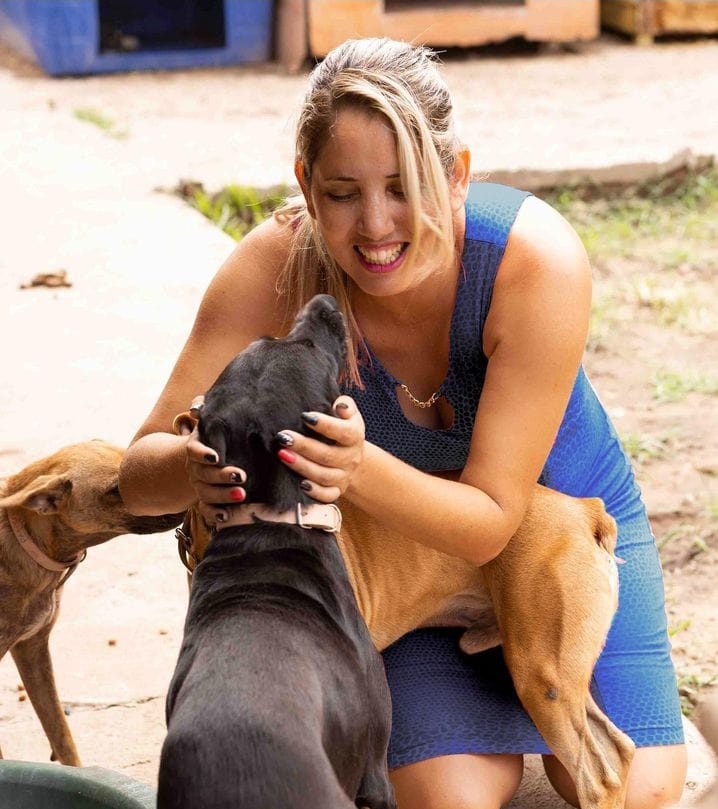 Segundo Denise Costa, presidente do Projeto Latido, maioria dos cães resgatados é vítima de maus-tratos