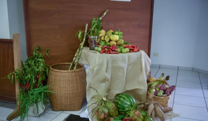 Programa visa acompanhamento, monitoramento e avaliação da segurança alimentar e nutricional para assegurar o direito humano à alimentação adequada