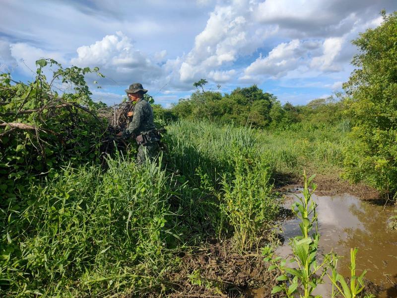 Nesta sexta-feira, policiais ambientais atenderam à denúncia de destruição de vegetação nativa em uma fazenda em Osvaldo Cruz 