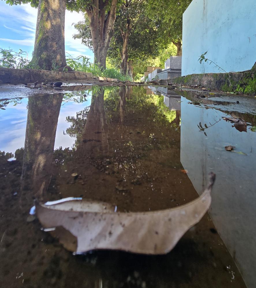 Encontro de focos do vetor no local, que passa por manutenção, foi informado por leitora