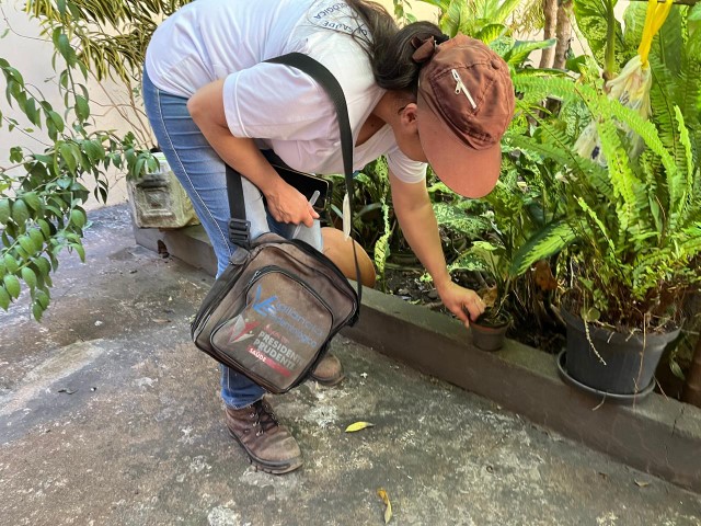 Ações de combate à dengue em Prudente têm sido contínuas desde janeiro, indica Prefeitura 