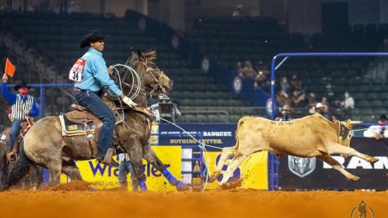 Encontrando o cavalo ideal no Arizona - Team Roping Brasil